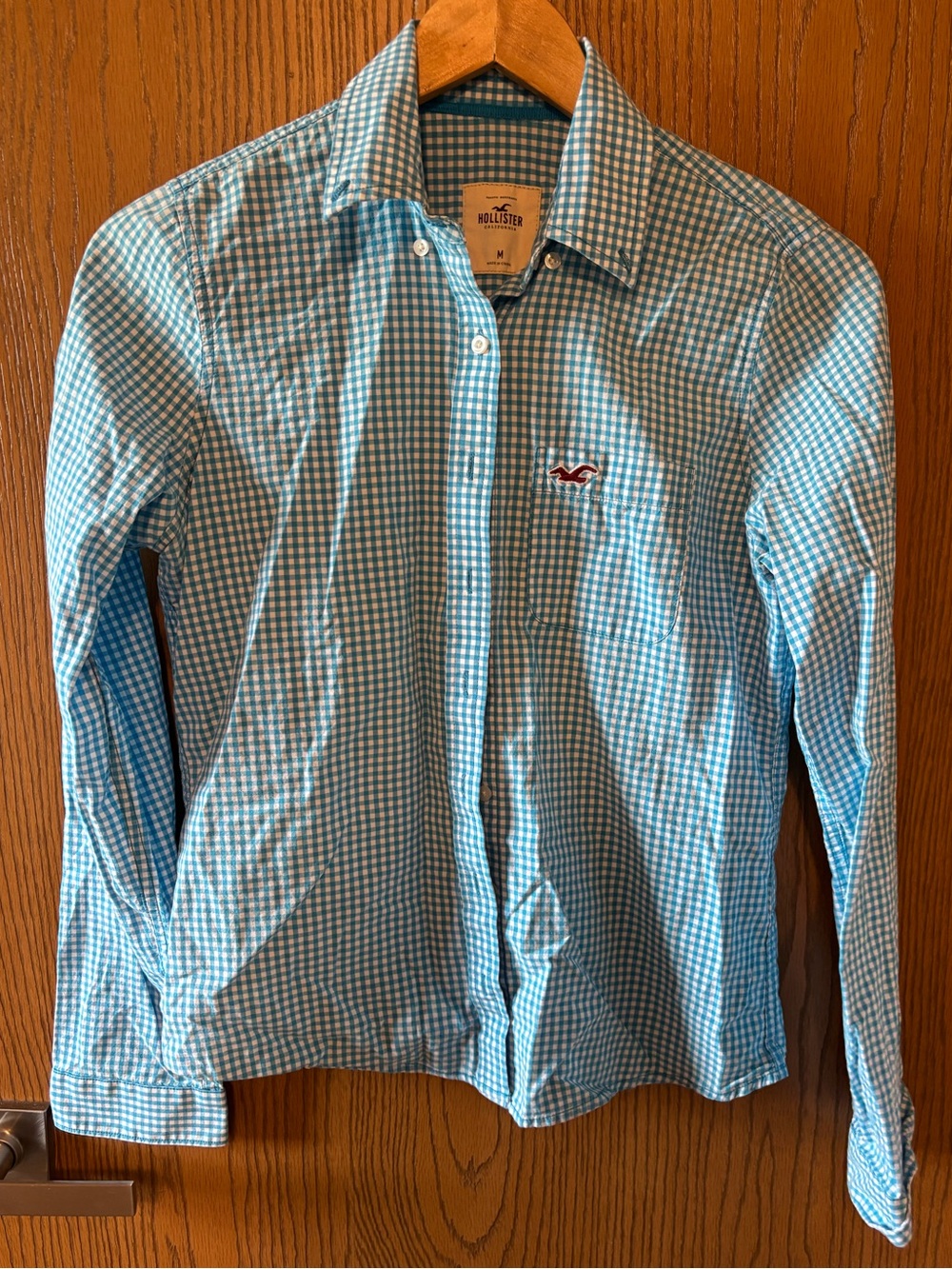 Hollister Men’s Blue & White Gingham Button-Down Shirt